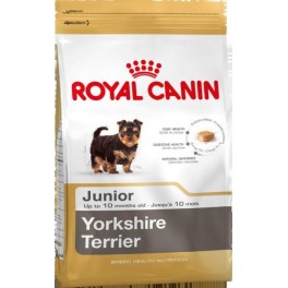 Yorkshire Terrier Junior 1,5 Kg.